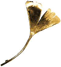 Ginkgo-Brosche, Gold
